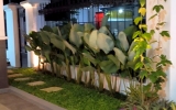 Taman Samping Parkir Area